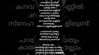 Parayathe parayunna ❤️🌹lyrics malayalam music song trending short [upl. by Ydnic]