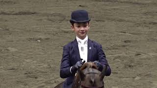 2024 UPHA CH 14 Spring Premier Heidi amp Gus in WT Saddle Seat Equitation 11 amp Under Championship [upl. by Monteria200]