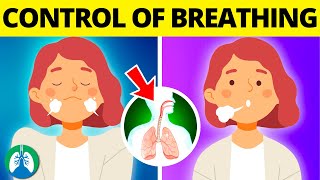 Medullary Respiratory Center Control of Breathing DRGs vs VRGs [upl. by Mckenzie]