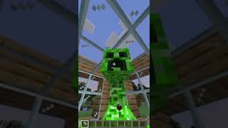 OMG MINECRAFT FUNNY [upl. by Vani]