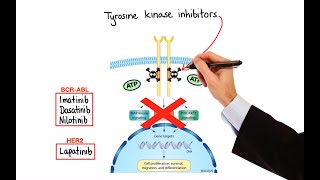 Pharmacology  CANCER DRUGS – CELL CYCLE INHIBITORS MADE EASY [upl. by Elihu210]