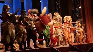 Disneys The Lion King Musical  Lyceum Theatre London January 2024 Curtain Call [upl. by Swart]