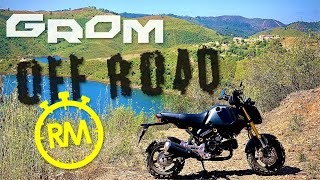 Honda Grom OFF ROAD ft Maxxis M6024 knobbly tyres QuickTest10 [upl. by Gage988]