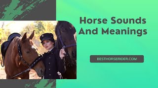 Horse Sounds And Meanings [upl. by Tnias]