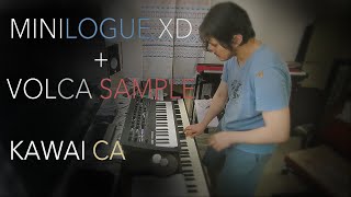 Minilogue XD amp Volca Sample duo Test 4 Synthesizer practice [upl. by Lledroc877]