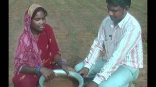 Seed treatment in ginger cultivation Mundari PRADAN Jharkhanda [upl. by Llehsor]