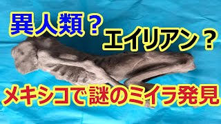 【エイリアン】メキシコで謎のミイラ発見！ 神と崇められたエイリアンか？ [upl. by Eilyw]