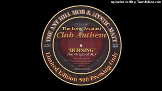 The Anthill Mob amp Mystic Matt  Burning The Original Mix [upl. by Nwahsed]