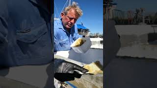 Adding the swim platform to my boat hull extension to add additional structural strength [upl. by Nitaj]