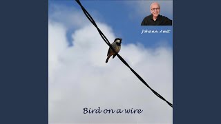 Bird on a wire [upl. by Sydelle]