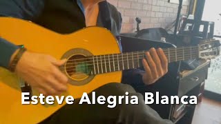 Flamenco Guitar Esteve Alegria Blanca Spain [upl. by Burtie404]