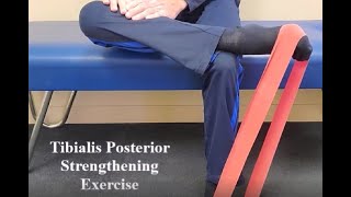 Tibialis Posterior Strengthening Exercise [upl. by Hymie791]