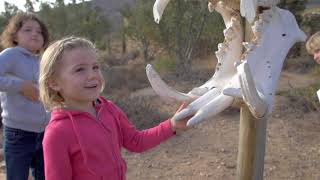 KIDS ON SAFARI  Sanbona Wildlife Reserve  Untamed Untouched Unforgettable [upl. by Leupold]