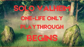 VALHEIM SOLO ONELIFE PLAYTHROUGH [upl. by Giorgio593]