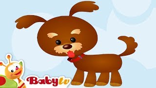 Dog 🐶​ Animal Sounds and Names for Kids amp Toddlers BabyTV [upl. by Gnuoy]