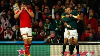 South Africa v Wales  Match Highlights and Tries  Rugby World Cup 2015 [upl. by Akinod100]