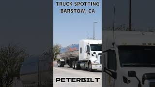 TRUCK SPOTTING 01356  PETERBILT automobile semitrailer trucking [upl. by Aicenat]