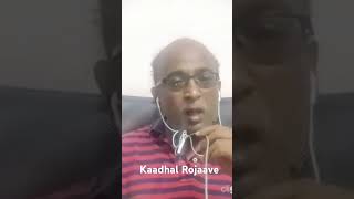 Kaadhal rojave  from Roja Sung by SPB [upl. by Hoxie691]