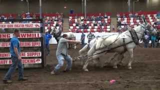 2013 BDHMC Mule Pull winning pull YT [upl. by Catima]