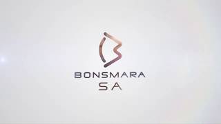 Bonsmara Breed South Africa [upl. by Champaigne]