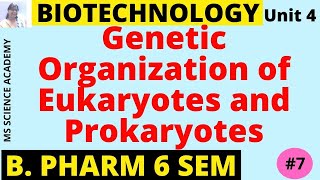 Genetic Organization of Eukaryotes and ProkaryotesBiotechnologyUnit 4 B Pharmacy 6 SemL07 [upl. by Harpole]