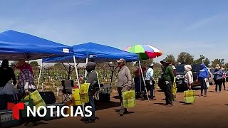 Newsom promulga leyes en beneficio de los trabajadores agrícolas inmigrantes  Noticias Telemundo [upl. by Marchese36]