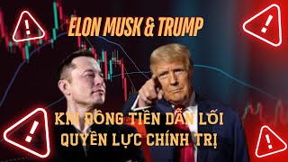 Elon Musk VS Trump Khi Đồng Tiền Dẫn Lối Quyền Lực Chính Trị [upl. by Aniloj]