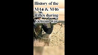 The M14 During the Vietnam War  Short [upl. by Rehpotsyrhc587]