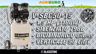 Compressore 15 Hp 50L Bicilindrico Silenziato BLACKSTONE VSBC5015 [upl. by Enamrahc898]