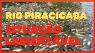 RIO PIRACICABA POLUIÇÃO DEIXAM VÁRIOS PEIXES MORTOS [upl. by Juliano]