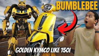 Bumblebee at First Glance Golden Classic Scoot Like 150i [upl. by Sennahoj591]