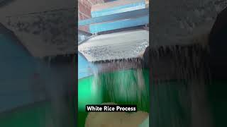 White Rice Process lindaandhighlandnature rice brokenrice countryside [upl. by Pouncey]