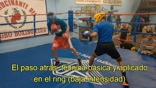 El paso atrás técnica básica y aplicado en el ring [upl. by Aihsenal]