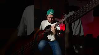 Natural harmonics hit different on the bass bassguitar bassguitarsolo [upl. by Jeremie240]