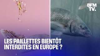 Les paillettes libres interdites à la vente en Europe dès lundi [upl. by Uria]