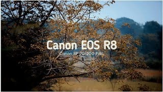 Canon EOS R8 Cinematic Video  Rf 70 200 Lens [upl. by Mcnully595]