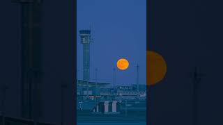 Supermoon in blue hour over Oslo Airport sonyalpha moon supermoon [upl. by Barthelemy]