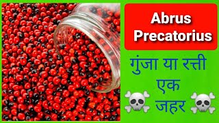 Abrus Precatorius Poisoning  गुंजा या रत्ती [upl. by Ogaitnas]