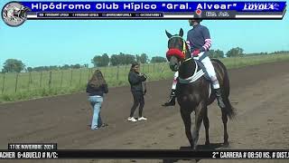 TORDO  Gral Alvear  BsAs 171124fotochartloyola23 [upl. by Dnalevets]