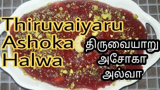 திருவையாறு அசோகா அல்வா  Moong Dal Halwa Recipe  Thiruvaiyaru Asoka halwa [upl. by Steffy]