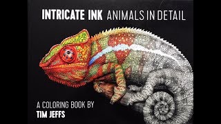 AdultColorBook Intricate Ink [upl. by Dmitri]