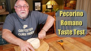 Pecorino Romano Taste Test [upl. by Inalial327]