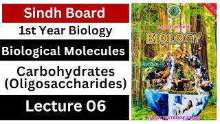 oligosaccharides  carbohydrate  biological molecules  class 11 biology  Sindh board new book [upl. by Tonl]