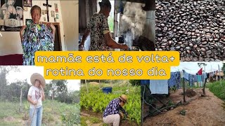 mãe está de voltavida na roça muitas atividadespão de queijo [upl. by Nnaeinahpets]