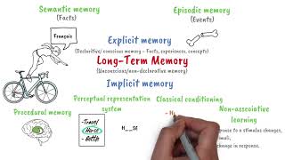 Longterm memory [upl. by Missy232]