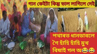 পথাৰত ধান ডাবলে গৈ হাঁহি হাঁহি মুখ বিষাই গল অ 😂😂🌺potharor dhan dabole goi hahi hahi mukh bikhai [upl. by Cote891]