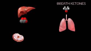 Ketogenesis Energy Needs Increase [upl. by Idoj]