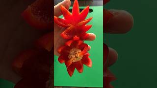 Red Bell pepper Flower Carving Garnish supersalad cuttingskills vegetablecarving shorts [upl. by Nekcerb]