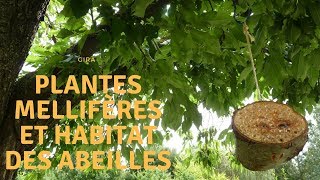 Plantes melliferes et habitat [upl. by Ajssatsan]