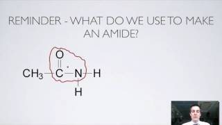 11 Ester and Amide Hydrolysis [upl. by Jamal]